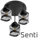 Senti