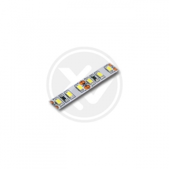 Taśma LED 2835 Premium  5m 600led IP20 6500K-17935