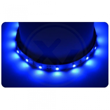 Taśma LED 2835 Premium  5m 300led IP20 niebieska-17955