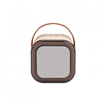 Głośnik Bluetooth przenośny karaoke - 2 mikrofony-32367
