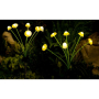 Lampa LED solarna wbijana grzyby 6xLED 72cm-35975